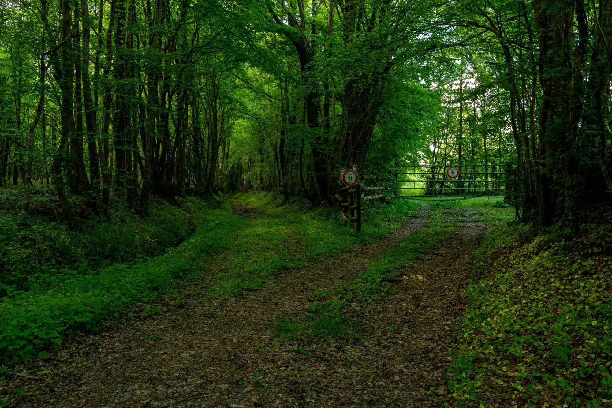 فندق Moulin De Boiscorde Au Centre Du Perche Rémalard المظهر الخارجي الصورة